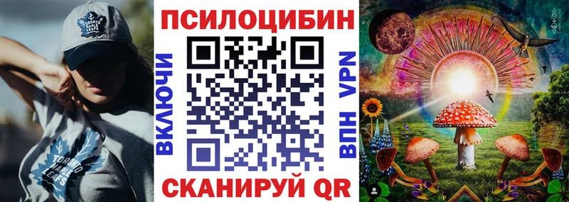 Псилоцибиновые грибы GOLDEN TEACHER Мглин